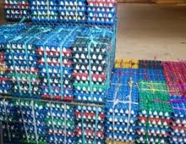   Vựa trứng số lượng lớn Long Thành  