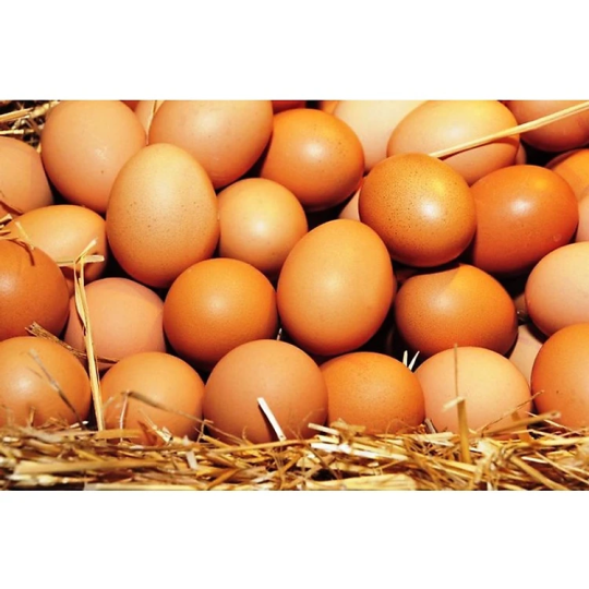 Trứng Gà 18 ký - cỡ 52-50 gram