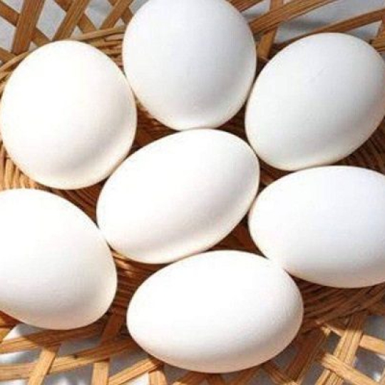 Trứng vịt 22 ký